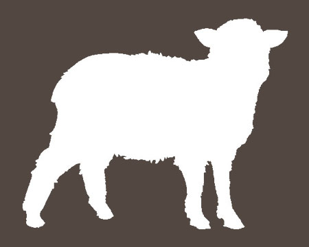 Ovce, kozy